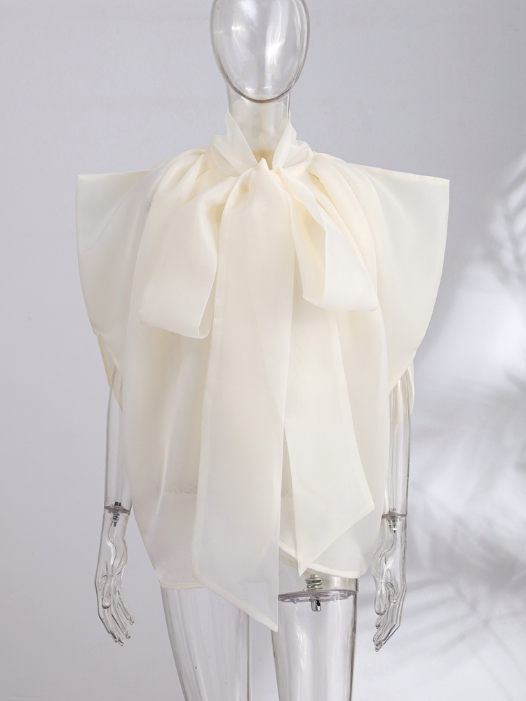 Top Donna Senza Maniche con Fi - Street Fashion Types recensione e prezzo